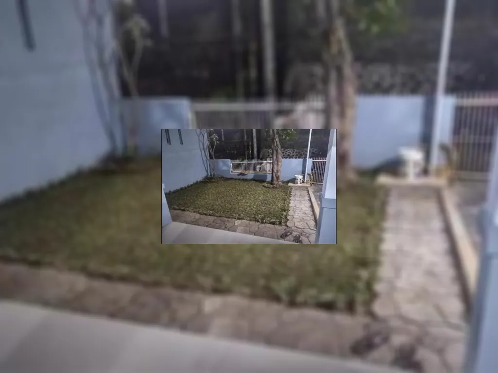 WhatsApp Image 2022-11-28 at 10.13.30.jpeg